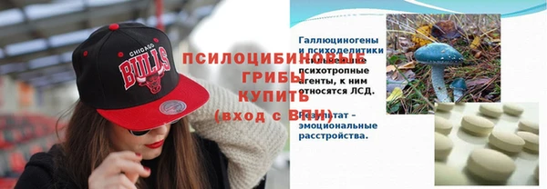 2c-b Михайлов