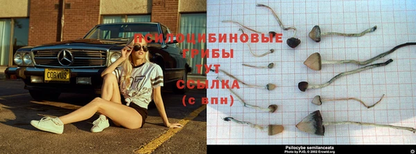 первитин Михайловка