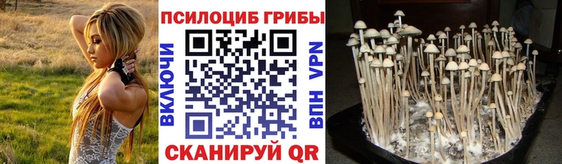 закладка  mega ссылки  Псилоцибиновые грибы GOLDEN TEACHER  Омутнинск 